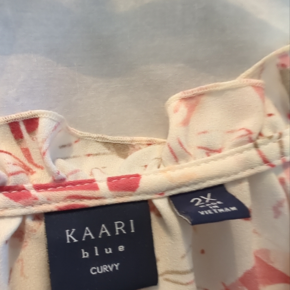 Women's Kaari Blue Round Ruffleneck Size 2X Long Ruffle Sleeve Floral Cream Pink - Picture 11 of 15